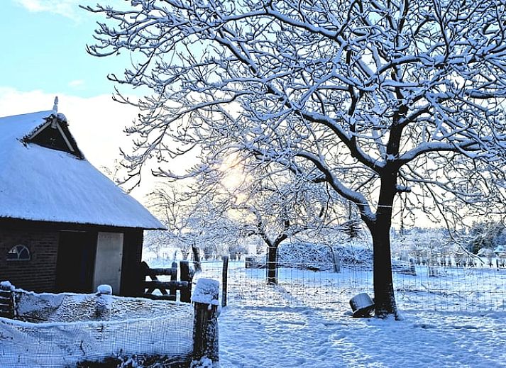 Modern kitchen in Holiday Home in Wesepe, Overijssel with stylish furnishings and appliances.