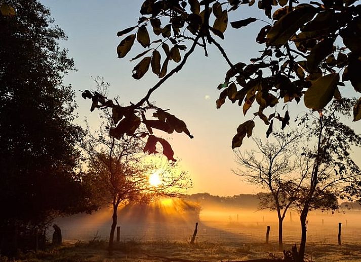 Modern kitchen in Holiday Home in Wesepe, Overijssel with stylish furnishings and appliances.