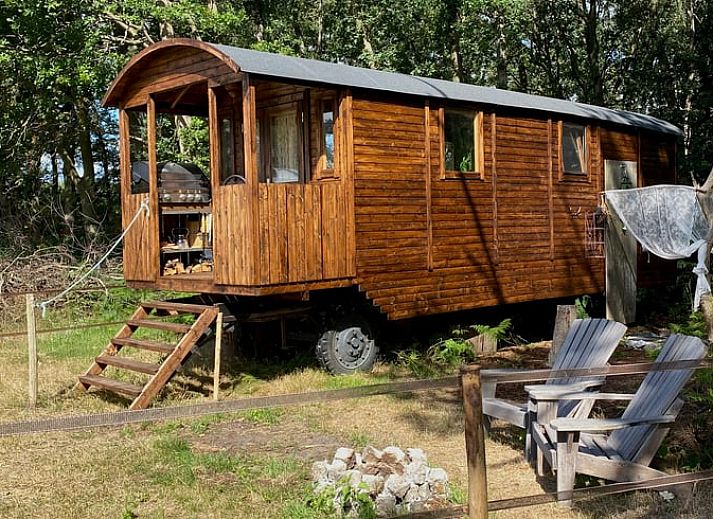 Idyllisch vakantiehuisje in Wesepe, Overijssel, omgeven door natuur met houten veranda en zitgelegenheid in de buitenlucht.