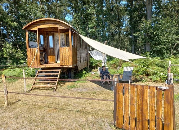 Idyllisch vakantiehuisje in Wesepe, Overijssel, omgeven door natuur met houten veranda en zitgelegenheid in de buitenlucht.