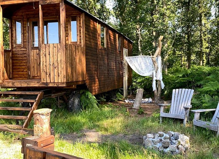 Idyllisch vakantiehuisje in Wesepe, Overijssel, omgeven door natuur met houten veranda en zitgelegenheid in de buitenlucht.