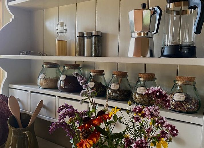 Gezellig vakantiehuisje in Wesepe, Salland met houten veranda, omgeven door natuur in Overijssel, perfect voor een ontspannen verblijf.