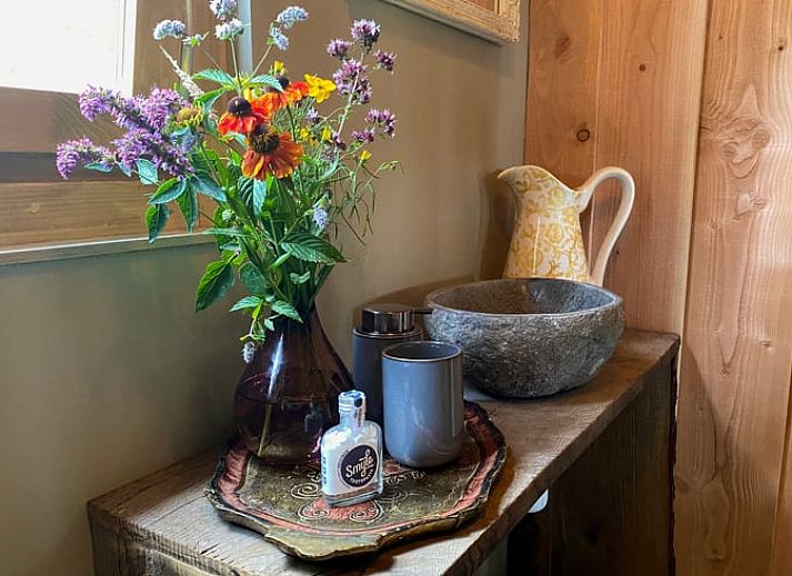 Gezellig vakantiehuisje in Wesepe, Salland met houten veranda, omgeven door natuur in Overijssel, perfect voor een ontspannen verblijf.