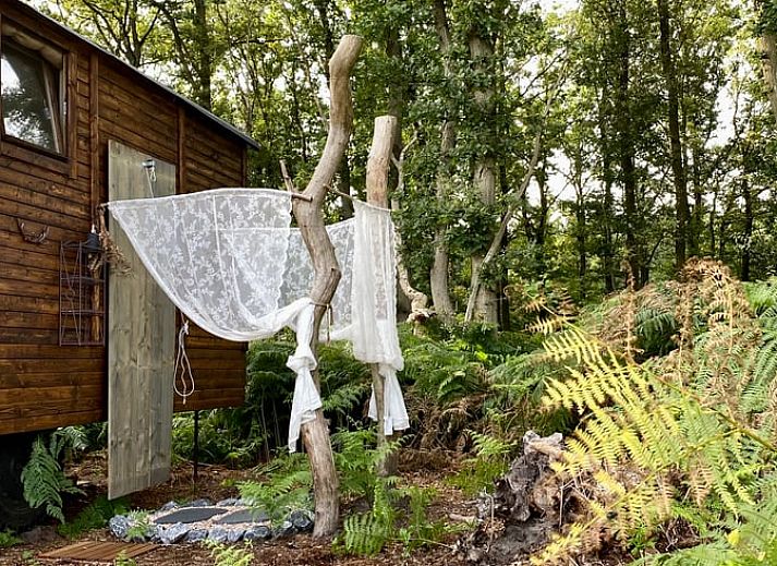 Gezellig vakantiehuisje in Wesepe, Salland met houten veranda, omgeven door natuur in Overijssel, perfect voor een ontspannen verblijf.
