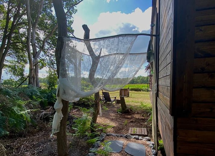 Buitenkeuken van Vakantiehuisje in Wesepe, Salland, Overijssel met barbecue en houten opbergruimte voor een gezellige vakantie-ervaring.