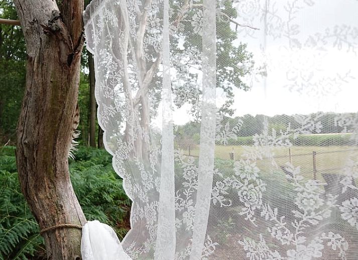 Buitenkeuken van Vakantiehuisje in Wesepe, Salland, Overijssel met barbecue en houten opbergruimte voor een gezellige vakantie-ervaring.