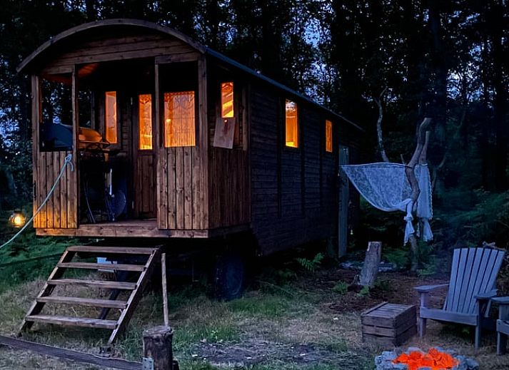 Buitenkeuken van Vakantiehuisje in Wesepe, Salland, Overijssel met barbecue en houten opbergruimte voor een gezellige vakantie-ervaring.