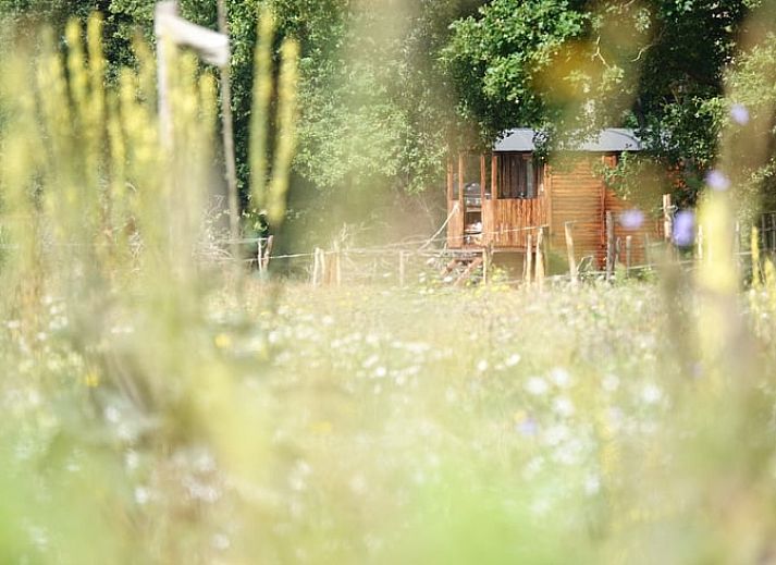 Charmant vakantiehuisje in Wesepe, Salland, Overijssel omringd door natuur met houten veranda en zitplek voor een ontspannen verblijf.