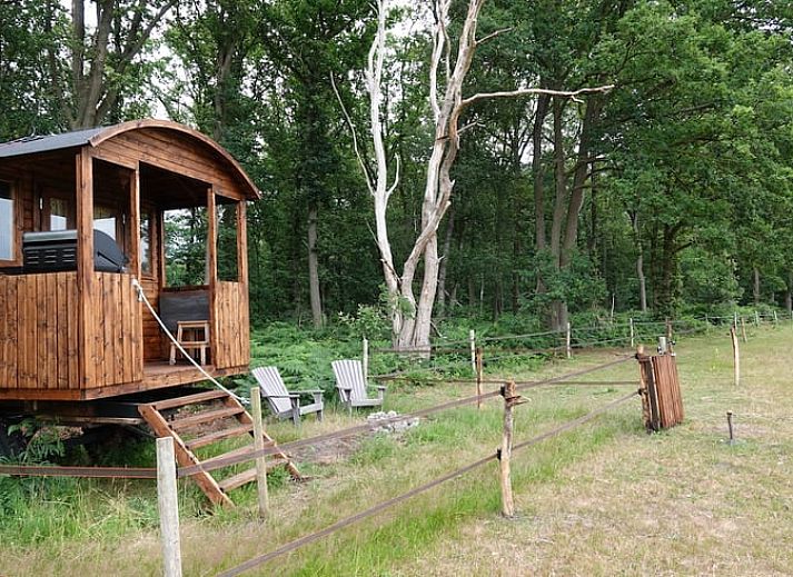Charmant vakantiehuisje in Wesepe, Salland, Overijssel omringd door natuur met houten veranda en zitplek voor een ontspannen verblijf.
