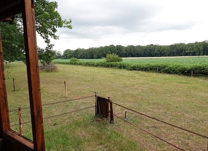 Charmant vakantiehuisje in Wesepe, Salland, Overijssel omringd door natuur met houten veranda en zitplek voor een ontspannen verblijf.