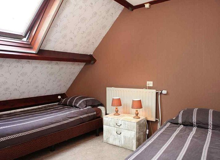 Vast field of dandelions near vacation home OV114 in Kamperveen, Overijssel