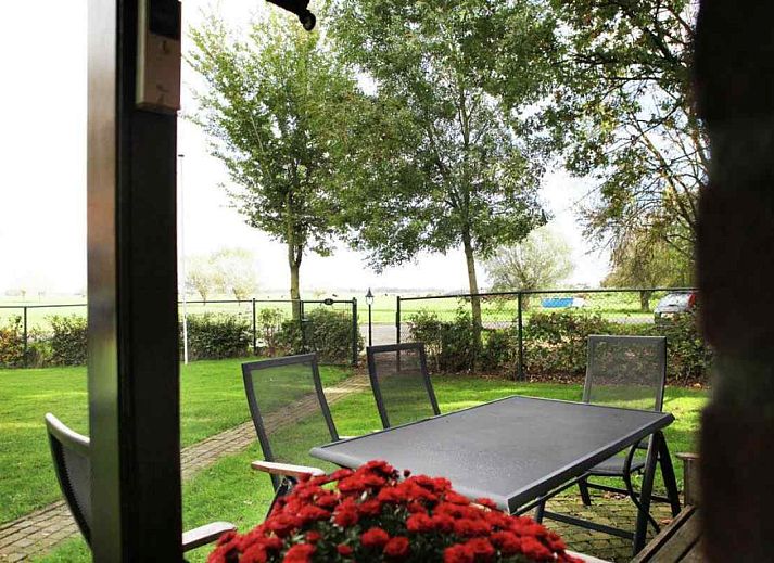 Vast field of dandelions near vacation home OV114 in Kamperveen, Overijssel