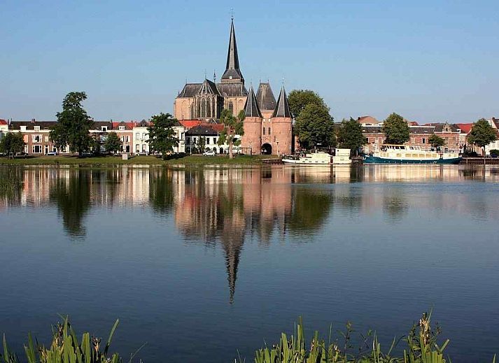Vast field of dandelions near vacation home OV114 in Kamperveen, Overijssel