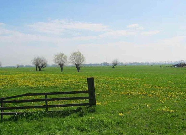 Cozy interior of vacation home OV114 in Kamperveen, Overijssel, with vintage furniture