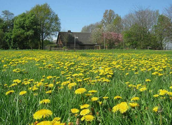 Spacious bedroom in vacation home OV114, Kamperveen, overlooking the nature of Overijssel