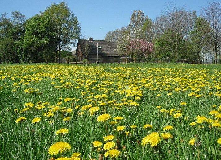 Unterkunft 533410 • Ferienhaus Salland • Prachtig gelegen 6 persoons vakantiehuis nabij Kampen 