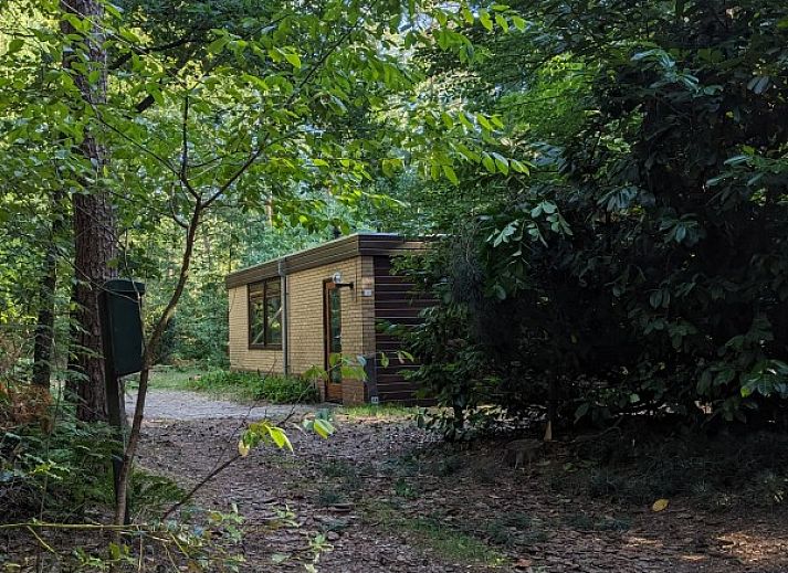 Guest house 533602 - Bungalow Vechtstreek - Bosweg 48 (DALFSEN)