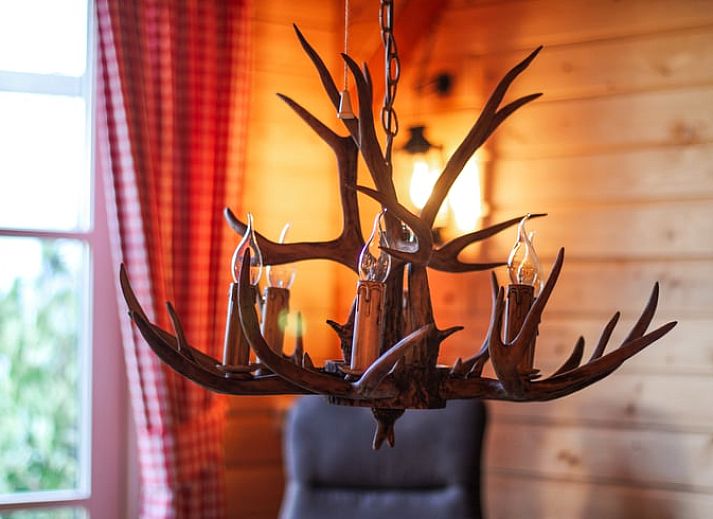 Beautiful terrace at Cottage in Hasselt, vacation home surrounded by nature in Salland, Overijssel.