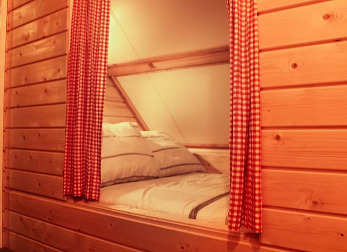 Spacious garden at Cottage in Hasselt, vacation home in quiet Salland, Overijssel.