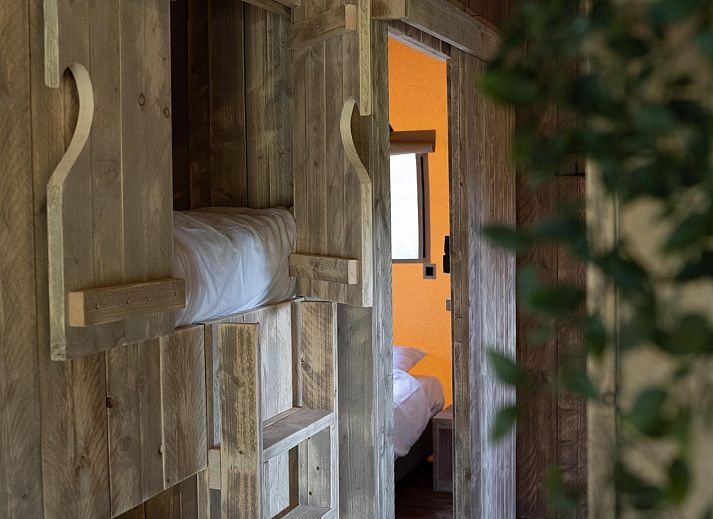 Unterkunft 533712 - Zelthaus Salland - Glampingtent Joukje