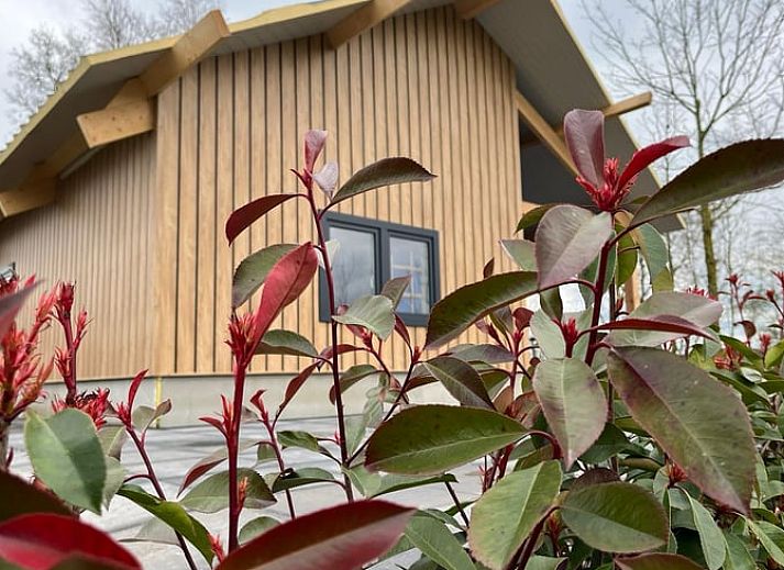Verblijf 533803 • Vakantiewoning Salland • Lodgepark 't Vechtdal