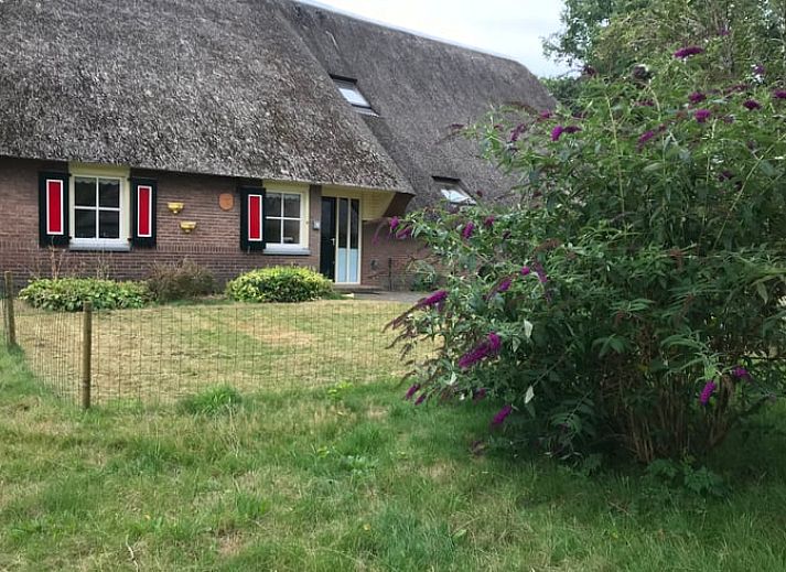 Charmantes Ferienhaus in Lettele mit bluehendem Baum in Salland, Overijssel.