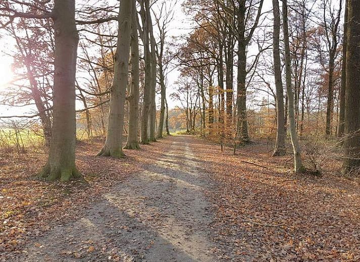 Reetgedecktes Ferienhaus in Lettele mit grossem Garten im schoenen Salland.