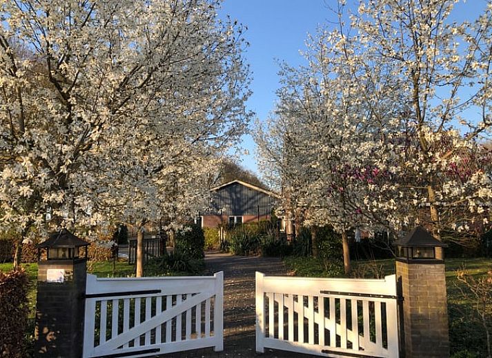 Modern kitchen in Cottage in Lettele, vacation home in Salland, Overijssel.