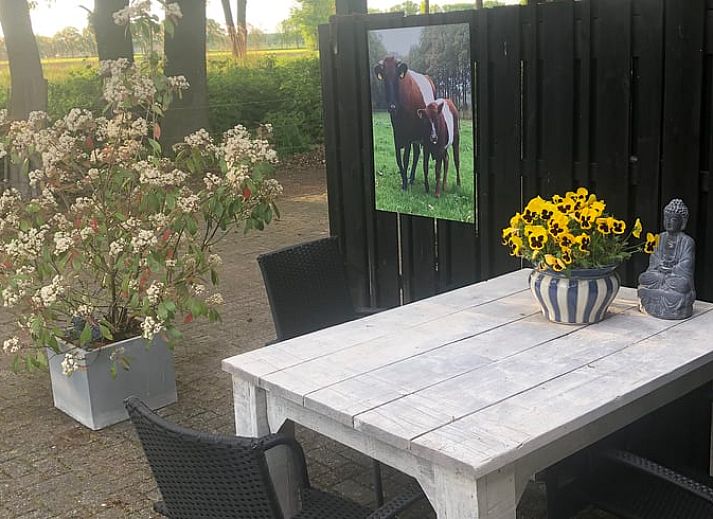Modern kitchen in Cottage in Lettele, vacation home in Salland, Overijssel.