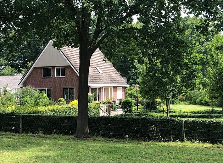 Grazing cows at Cottage in Lettele, vacation home in Salland, Overijssel.