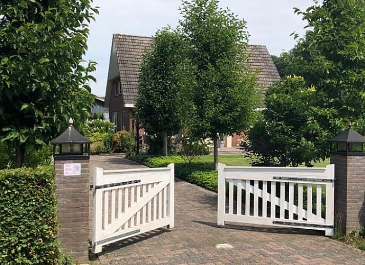 Grazing cows at Cottage in Lettele, vacation home in Salland, Overijssel.