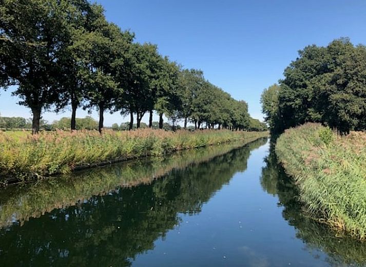 Lush garden of Huisje in Lettele, vacation home in Lettele, Overijssel.