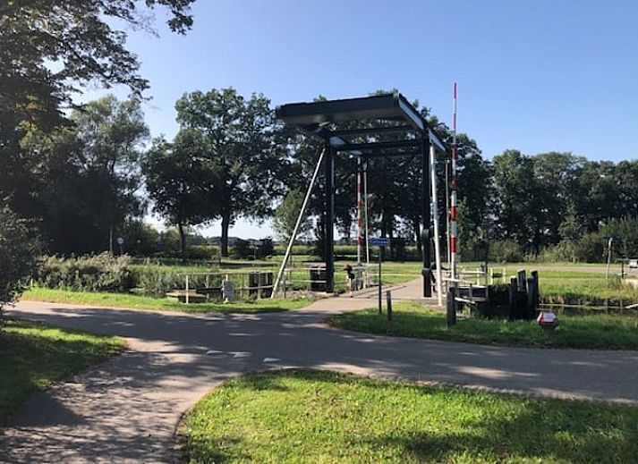 Flowering trees near the entrance of Huisje in Lettele, vacation accommodation in Overijssel.