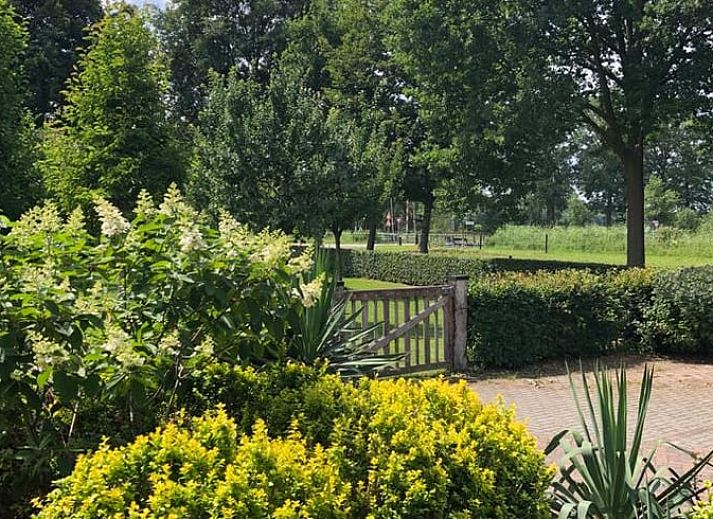 Uitgestrekte groene tuin bij Huisje in Lettele, vakantieaccommodatie in Overijssel.