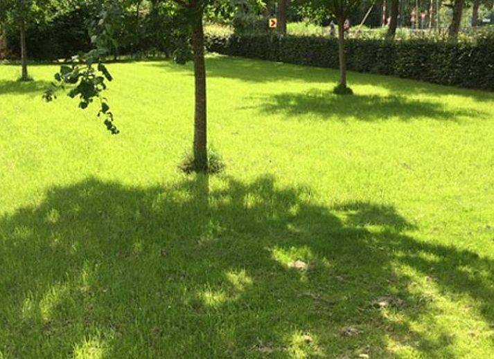 Zonnig terras bij Huisje in Lettele, vakantiehuis in Lettele, Overijssel.