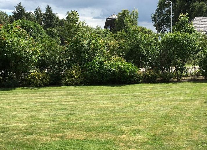 Zonnig terras bij Huisje in Lettele, vakantiehuis in Lettele, Overijssel.