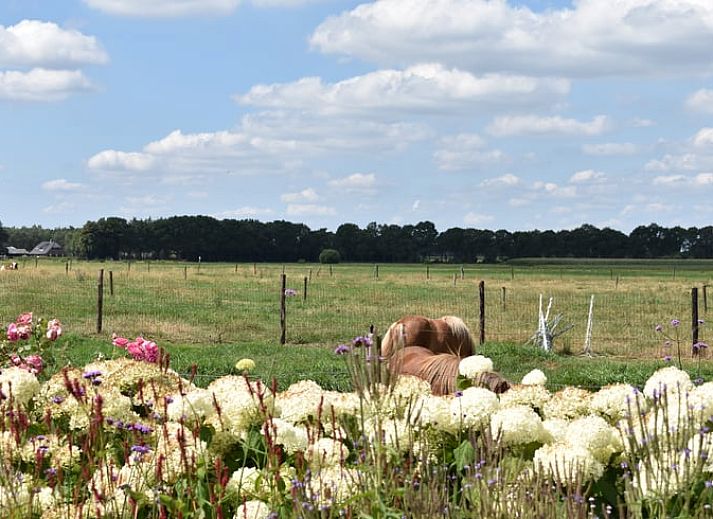 Gezellige keuken in Huisje in Lettele, vakantiehuis in Salland, Overijssel met retro fornuis.