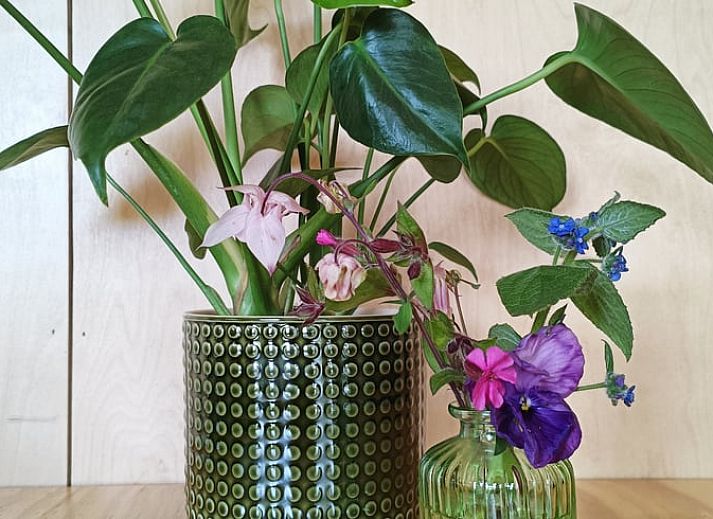 Gemuetliches Wohnzimmer im Ferienhaus in Lettele, Salland, Overijssel mit bequemen Sitzgelegenheiten.