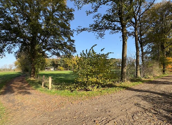 Vakantiehuis in Lettele omringd door bosrijke natuur in Salland, Overijssel.