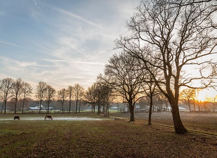 Vakantiehuis in Lettele gelegen aan de rand van een open grasveld in Salland, Overijssel.