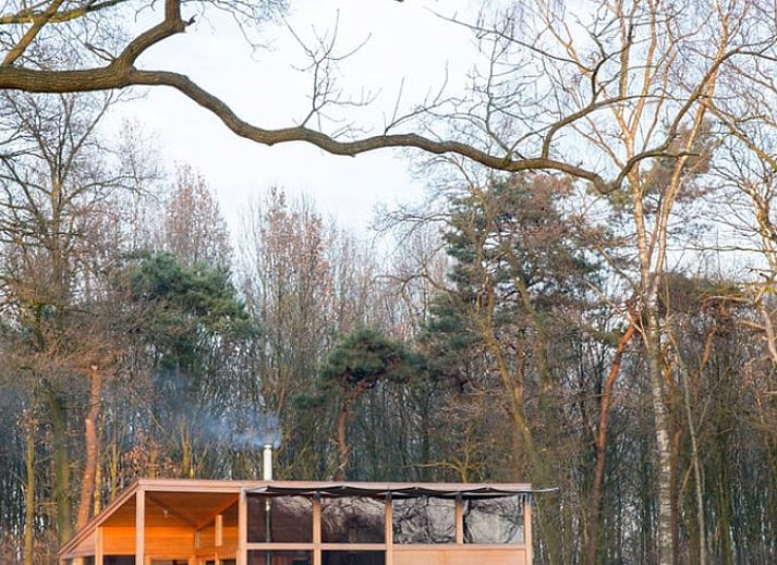 Veranda van Vakantiehuis in Lettele met uitzicht op de natuur van Salland, Overijssel.