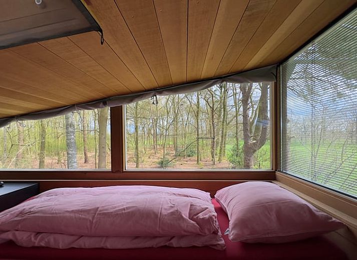 Bosrijke omgeving rondom Vakantiehuis in Lettele, perfect voor wandelingen in Salland, Overijssel.