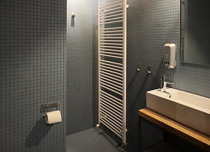 Bosrijke omgeving rondom Vakantiehuis in Lettele, perfect voor wandelingen in Salland, Overijssel.