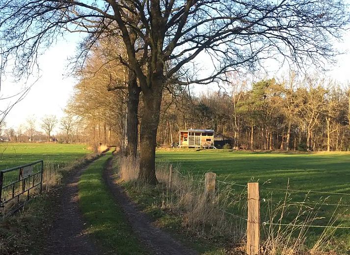 Verblijf 533915 - Vakantiewoning Salland - Natuurcabin