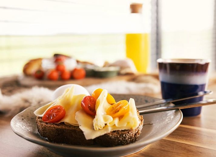 Unterkunft 534206 - Ferienhaus Salland - Vakantiehuisje in Genemuiden