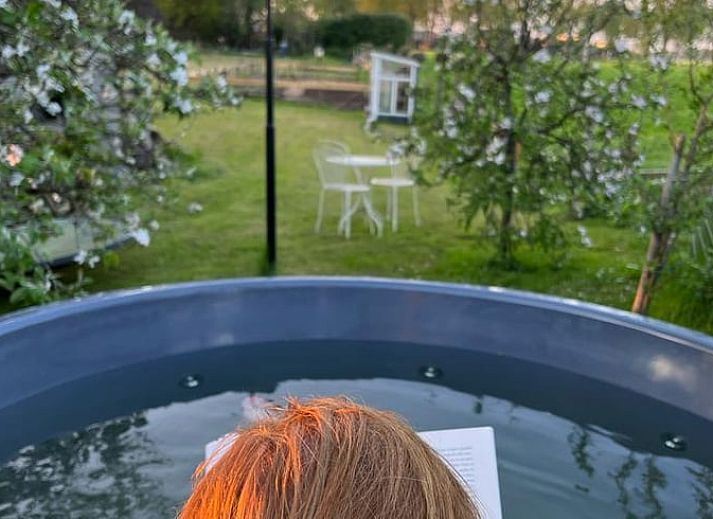 Zwembad in de tuin van Vakantiehuis in Nieuw Heeten, Salland, Overijssel.