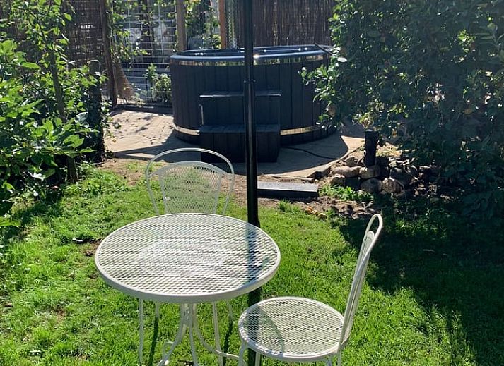 Zwembad in de tuin van Vakantiehuis in Nieuw Heeten, Salland, Overijssel.