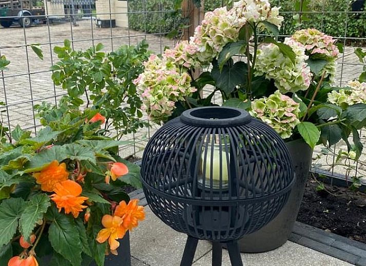 Stijlvolle woonkamer van Vakantiehuis in Nieuw Heeten, Salland, Overijssel.