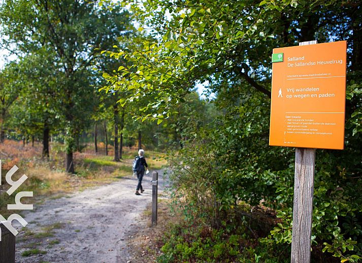 Wanderweg durch den Sallandse Heuvelrug in der Naehe des Ferienhauses OV472 in Nieuw-Heeten, Overijssel.