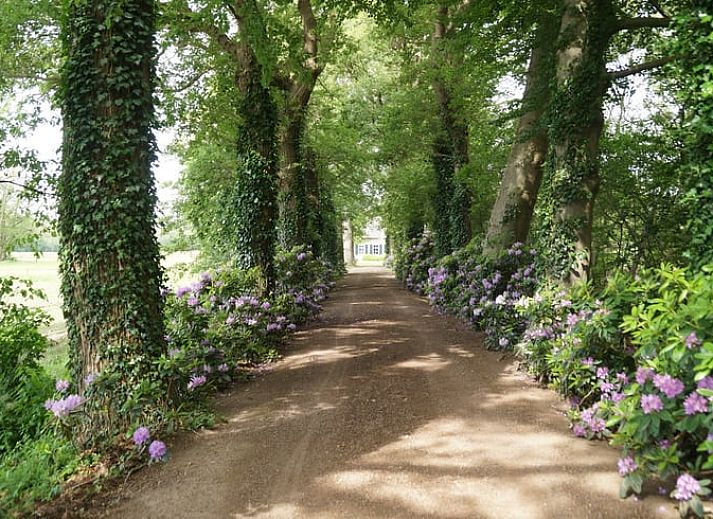 Ruhiger Garten am Ferienhaus in Nieuw Heeten, bluehende Pflanzen und schattige Wege in Salland, Overijssel.